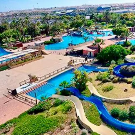 Sunny Sweet Olga * טורבייחה