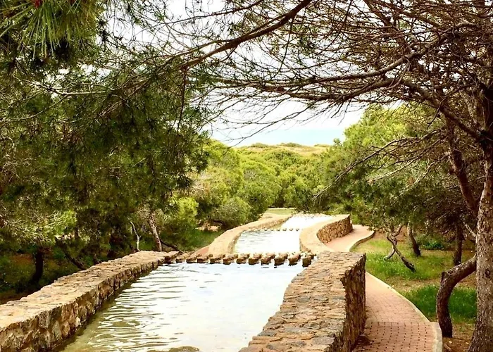 Appartement Sunny Sweet Olga