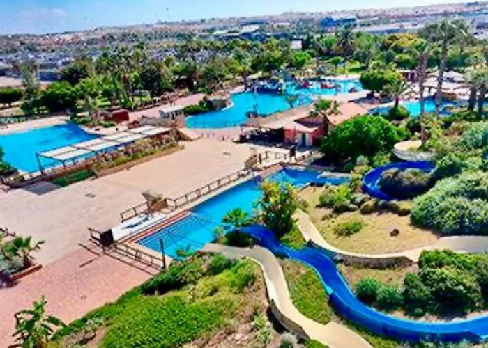 Sunny Sweet Olga * Τορεβιέχα